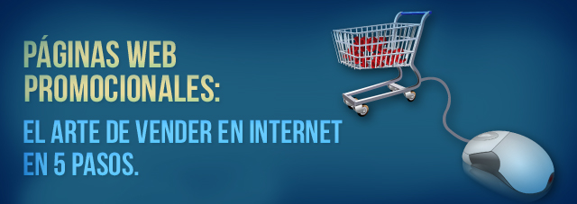 Promotional Websites: The Art of Selling on the Internet in 5 Steps